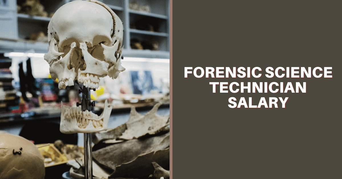 The Forensic Science Technician Salary 2022 Salary Ideas