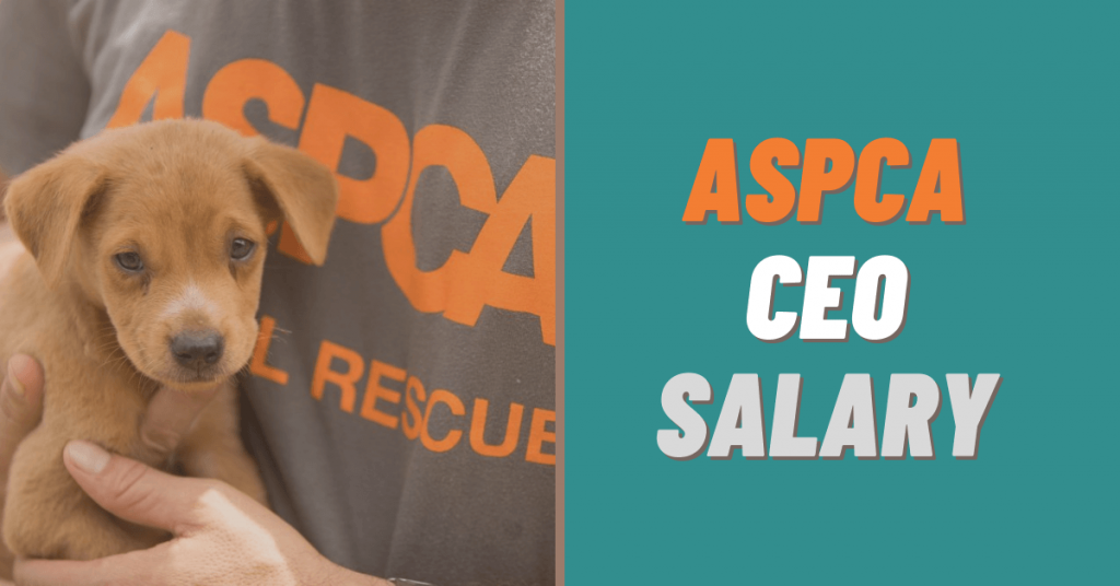 How Much Does A CEO Of The ASPCA Make In 2023 Salary Ideas