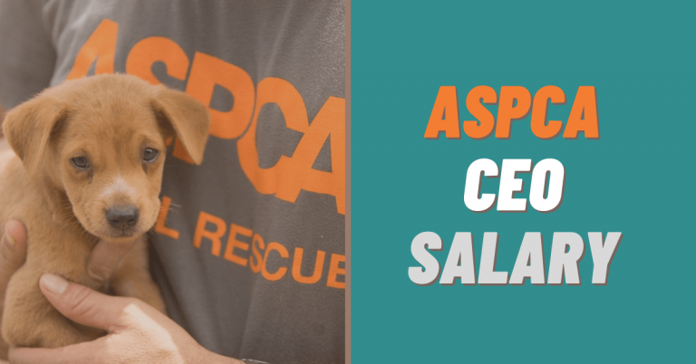 how-much-does-a-ceo-of-the-aspca-make-in-2024-salary-ideas